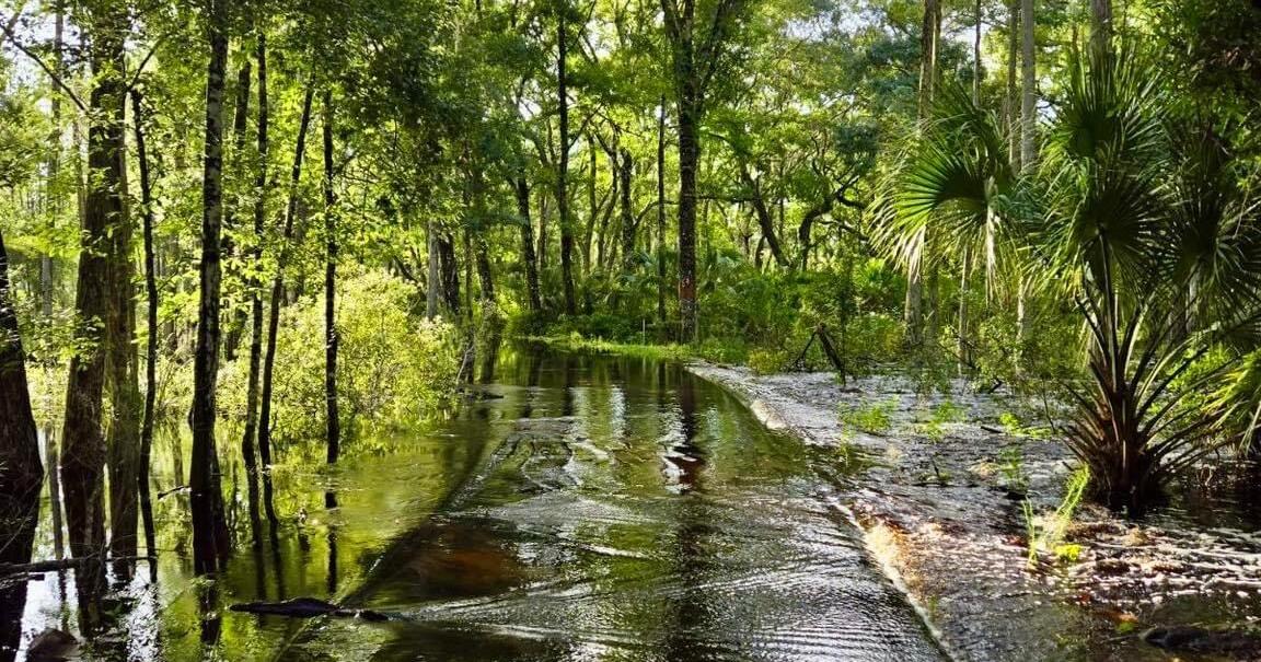 Flooded Trails Prompt Caution In Pasco County Parks