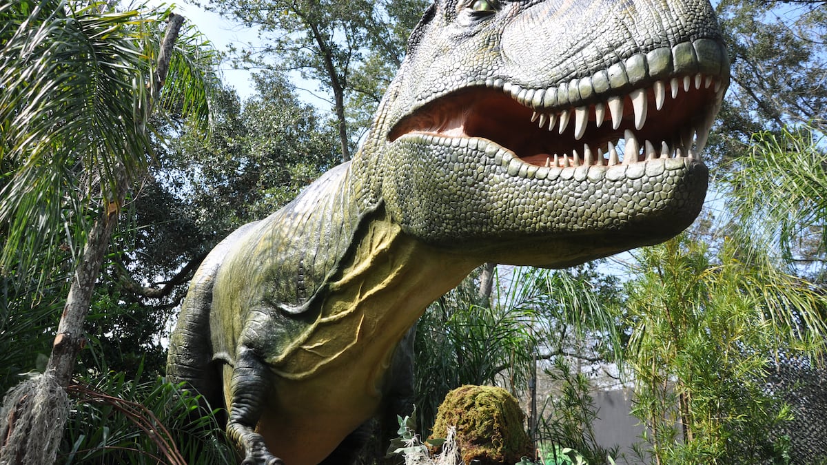 Immersive Dinosaur Exhibit, Concerts, Festivals, And Events In Tampa Bay
