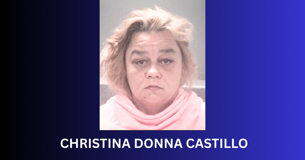 New Port Richey Woman Faces Multiple Charges After Alleged Home Invasion