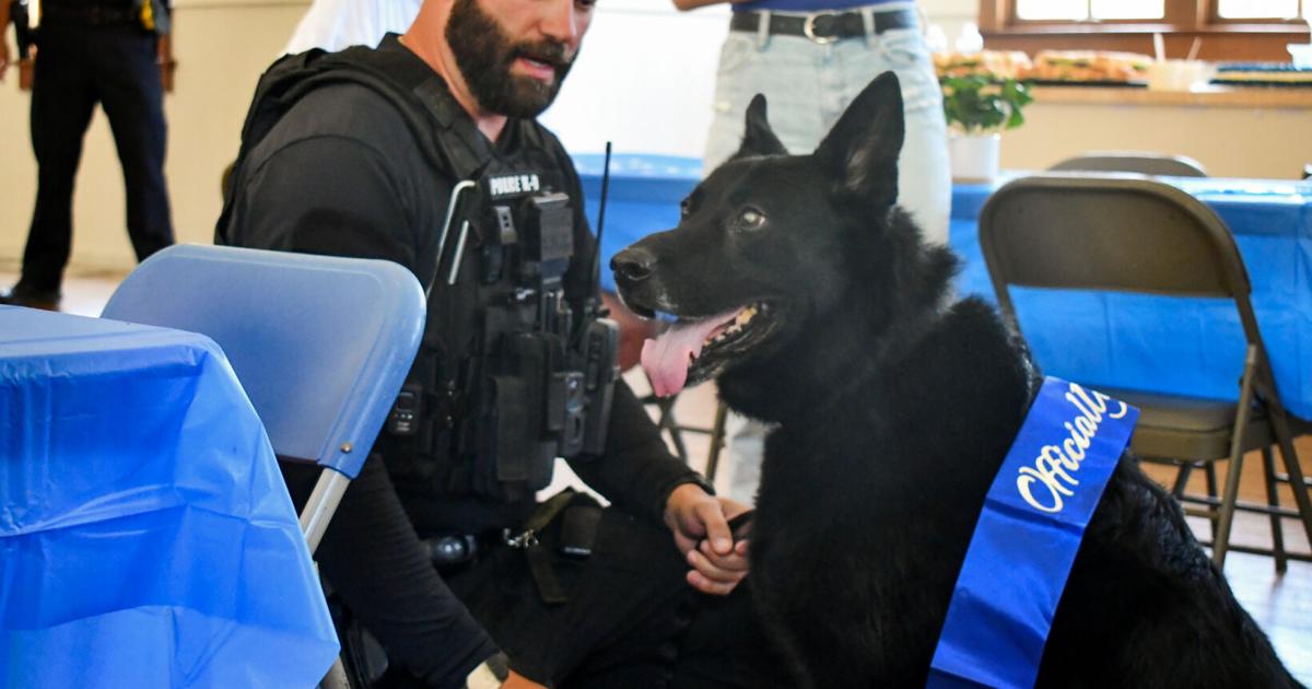 Retirement With Honors: New Port Richey’s K-9 Officer Shadow