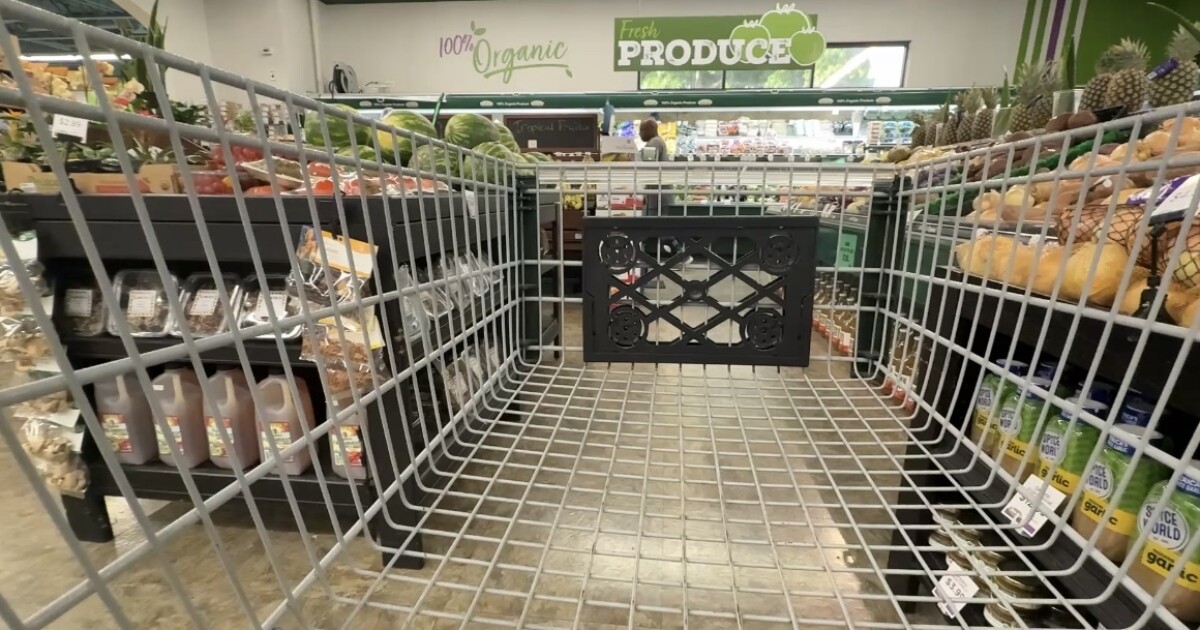 Saving Money On Groceries: Pasco County Offers Free Grocery Store Tour