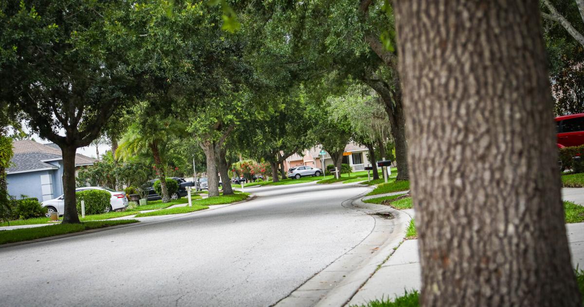 County Raises Fees For Tree Removal In Development Projects