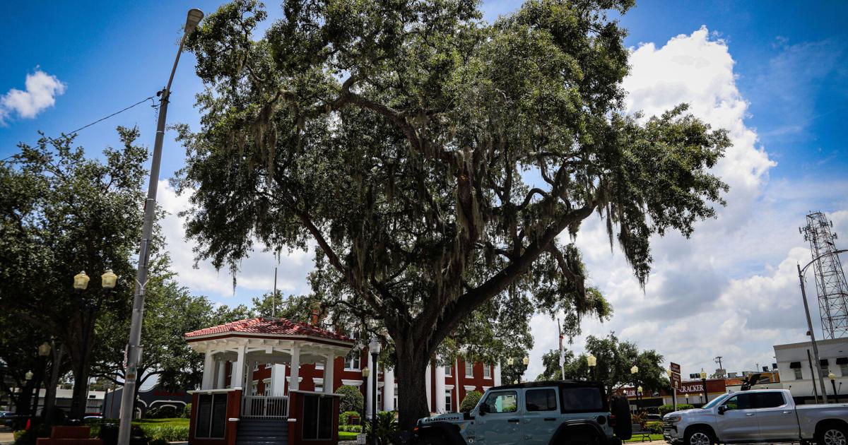 Dade City’s Live Oak No. 7 Reprieved From Execution