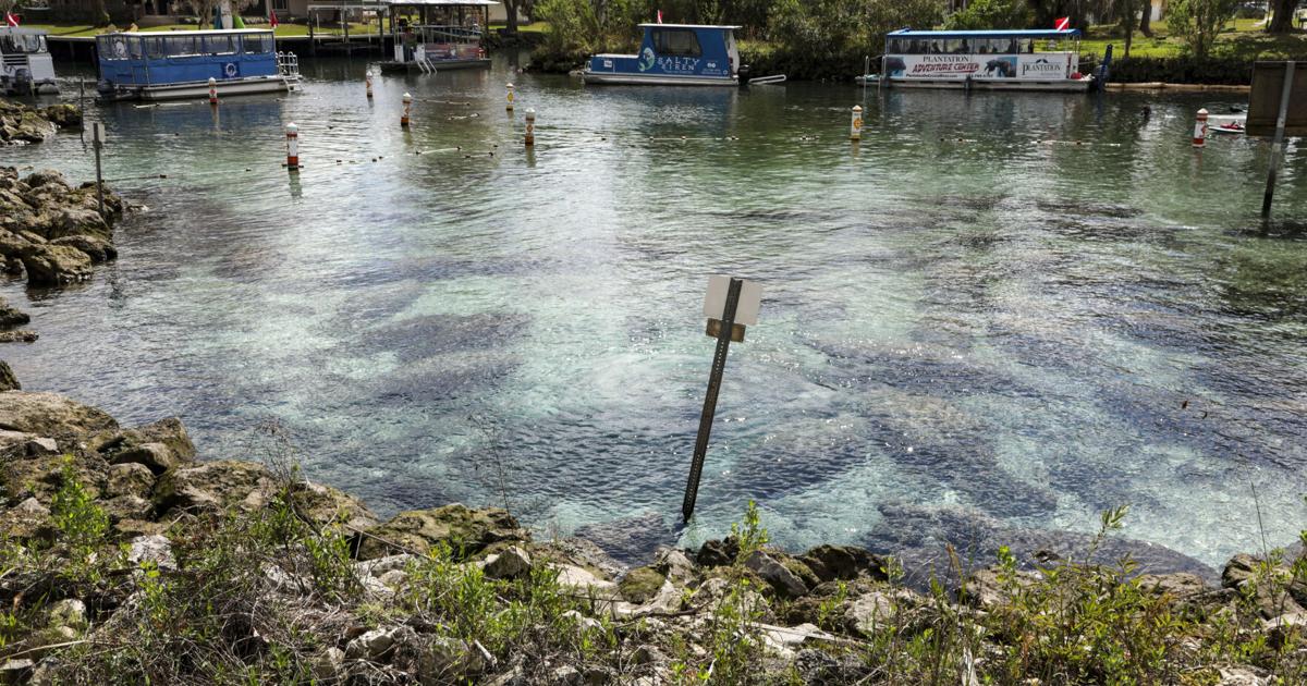 Crystal River’s Resilience Through Restoration And Storms