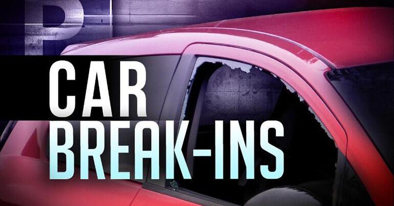 Man Arrested In New Port Richey Auto Burglary Spree