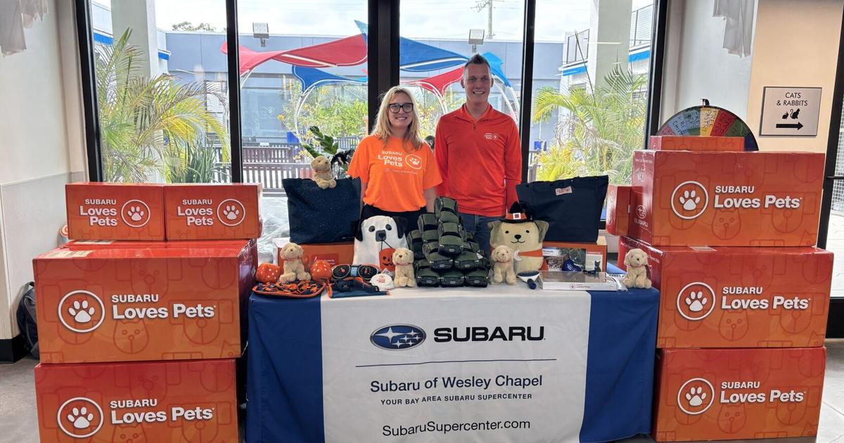 Local Businesses Support Animal Welfare And Foster Children