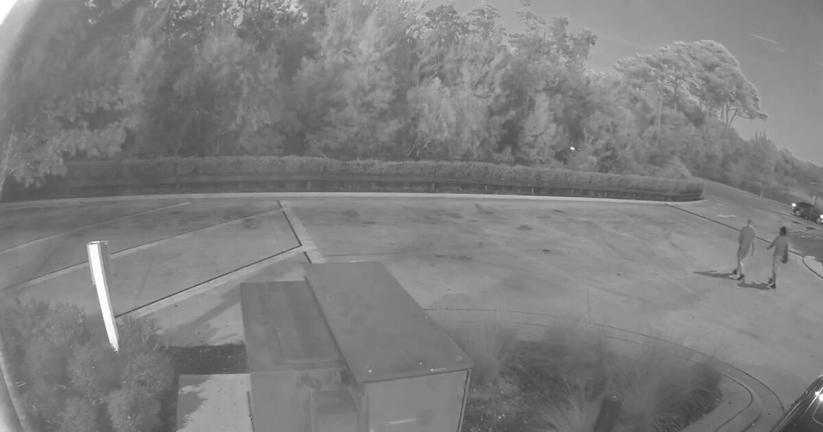 FHP Releases Suspect Images In Fatal Wesley Chapel Hit And Run