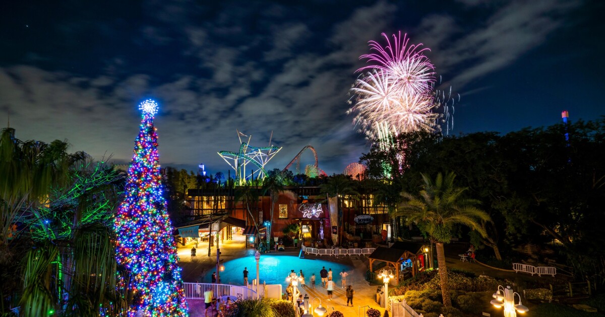 Tampa Bay Celebrates Christmas With Festive Events And Updates On Cancer Free Patient