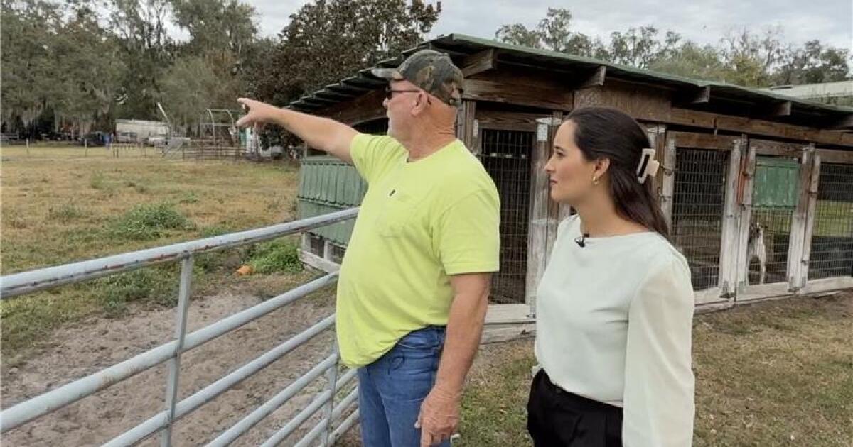 Ricochet Bullets Raise Concerns For Dade City Residents
