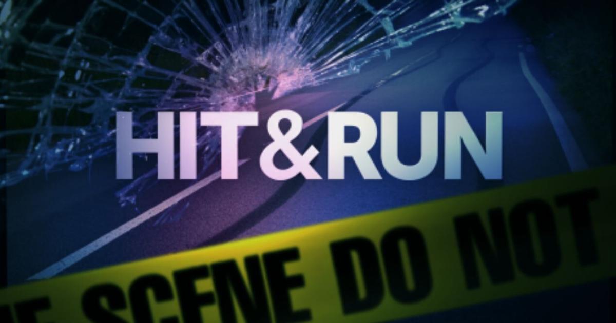 Hit And Run Crash Leaves Woman Critically Injured In Wesley Chapel