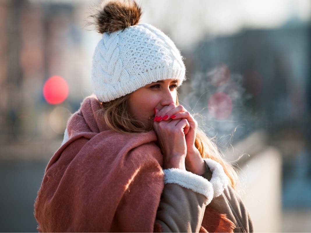 Unseasonal Cold Snaps Across Florida Prompt Freeze Warnings