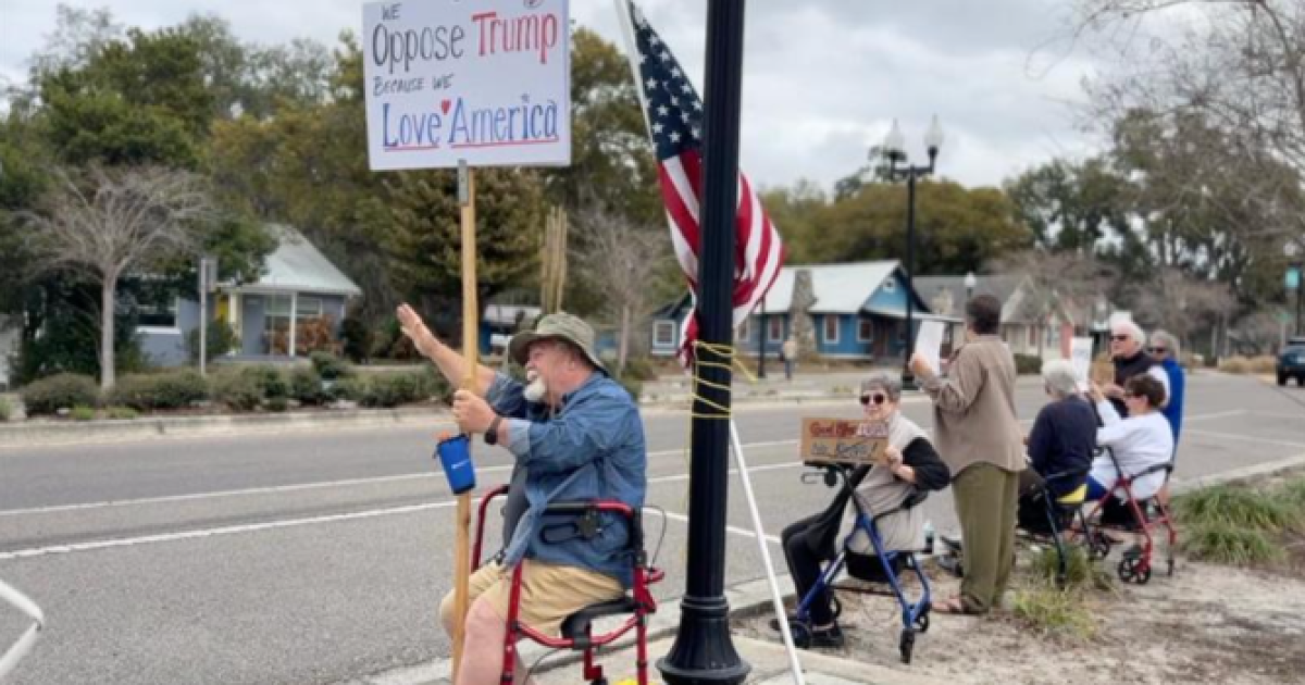 Protesters Rally for Constitutional Values in Zephyrhills