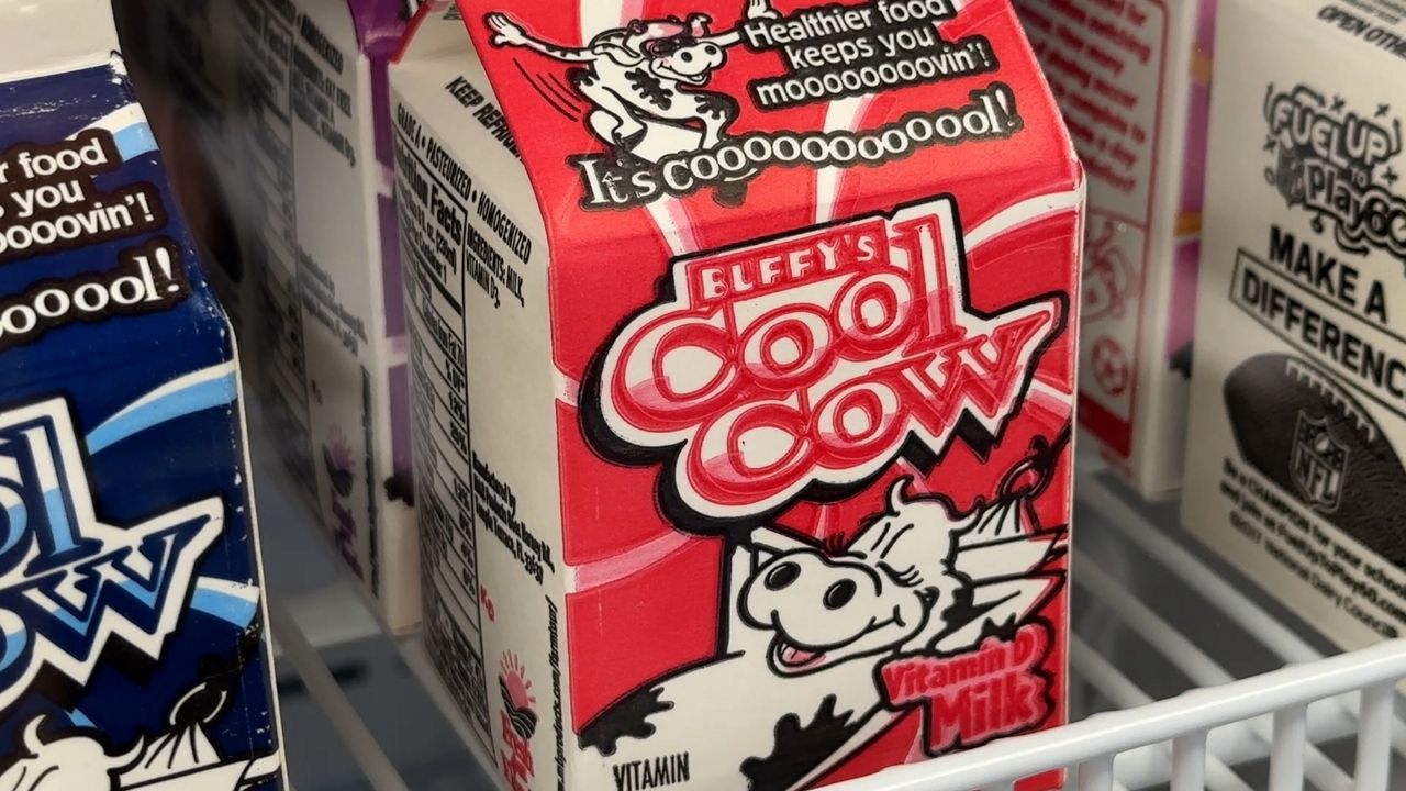 Whole Milk Reintroduced in Schools After Policy Shift