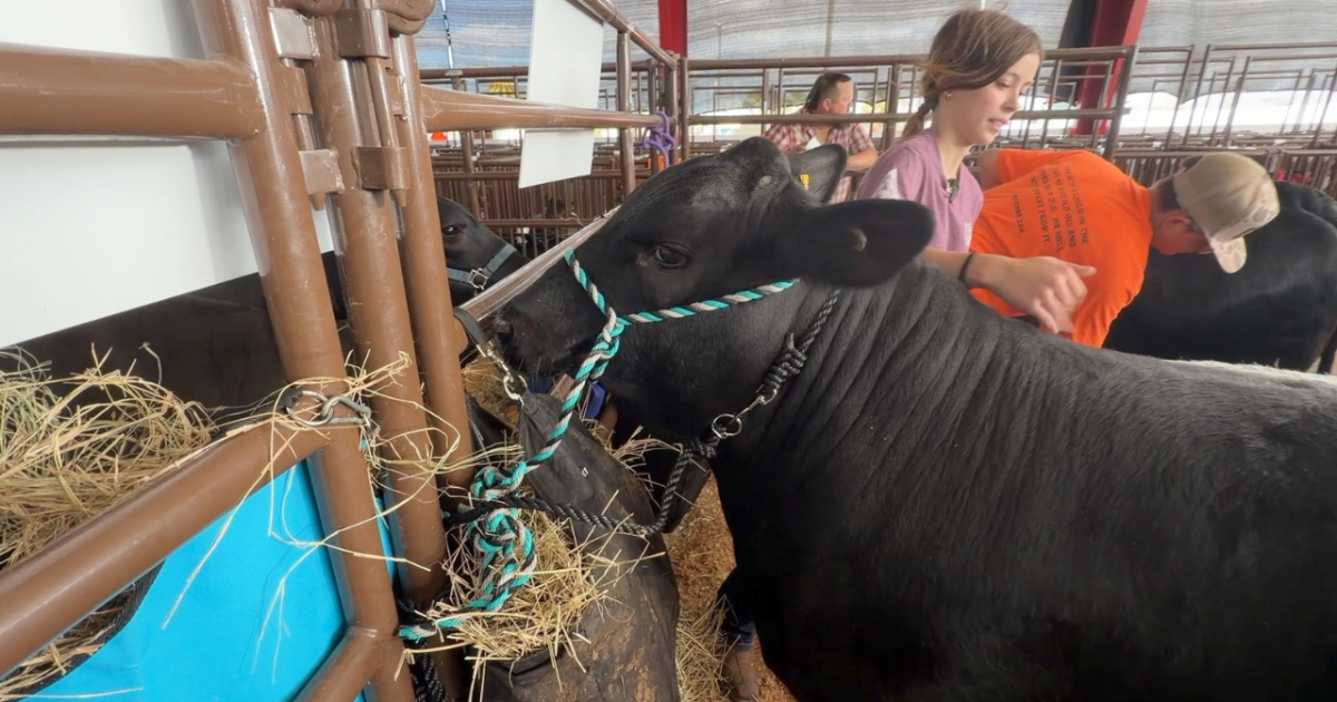 Pasco County Fair Celebrates 79 Years of Tradition and Agriculture