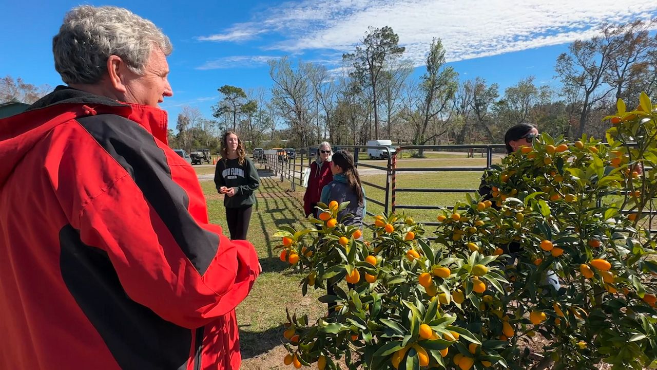 Kumquat Festival Rescheduled in Dade City, Florida Due to Weather