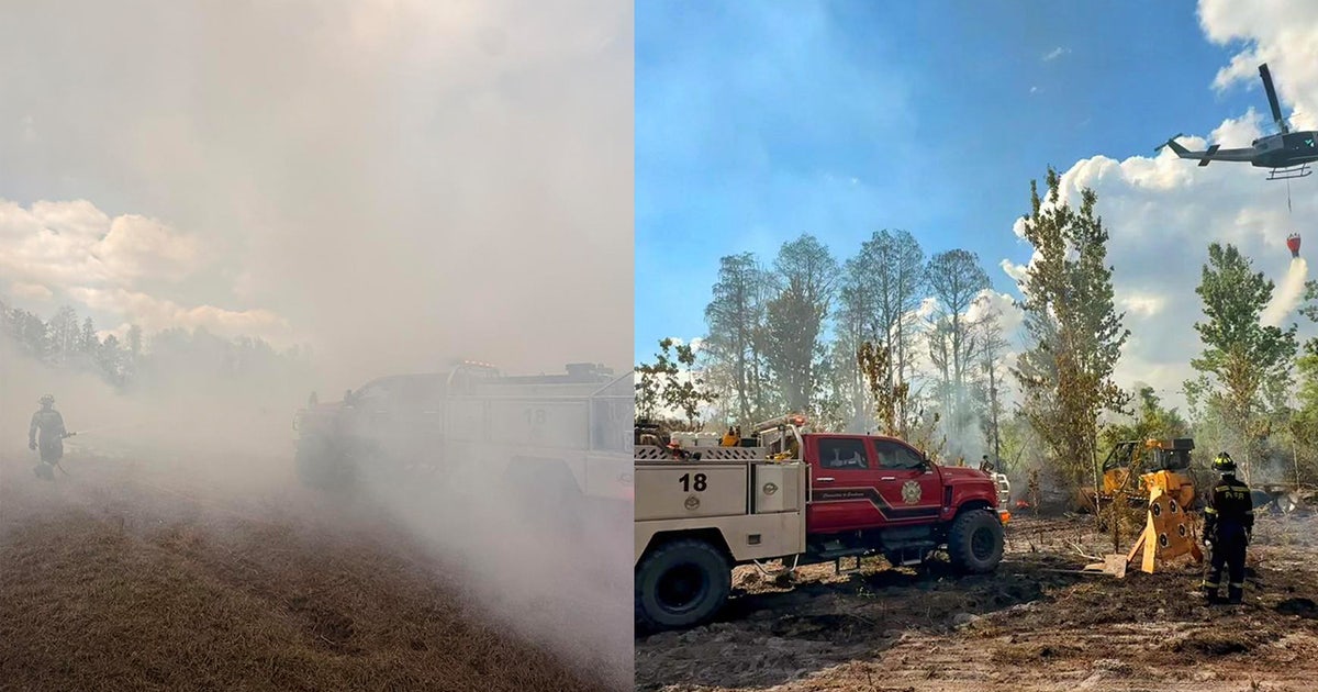 Pasco County Enforces Burn Ban After Brush Fire Incident