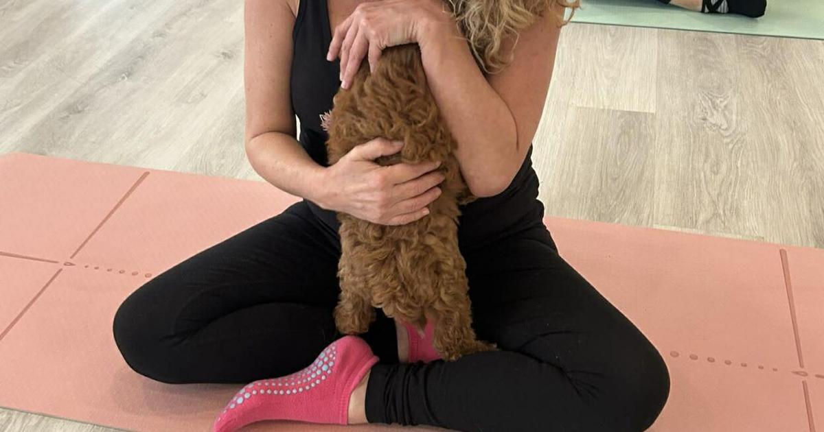 Pawsitively Pilates Studio Offers Wellness Classes With Puppies In New Port Richey Florida