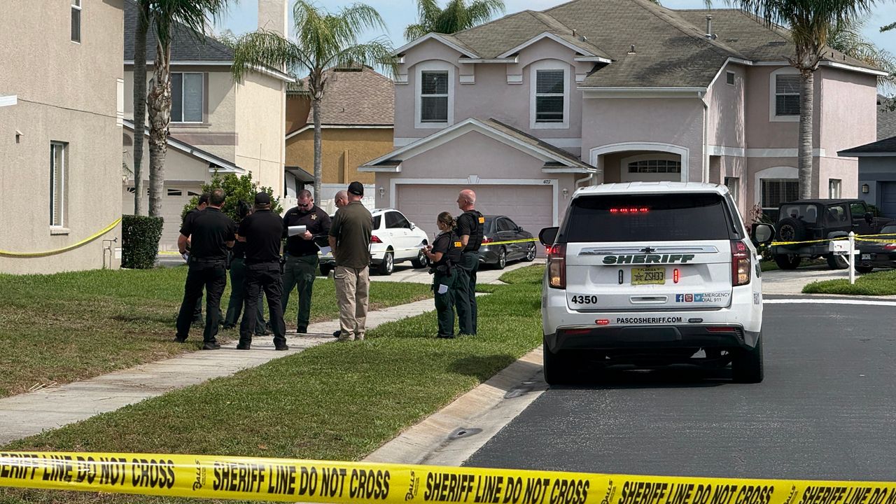 Tragic Plane Crash in Wesley Chapel Leaves Dead Pilot and Damages Nearby Home