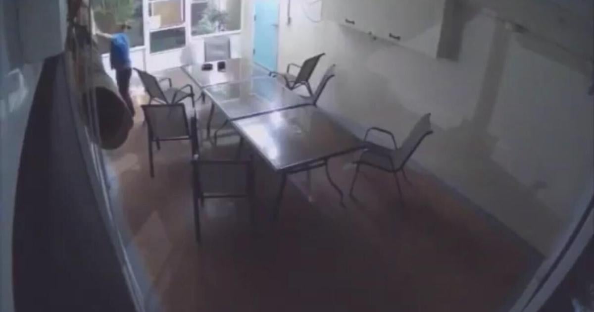 Pasco County Police Seek Woman Accused of Patio Break-In and Fire