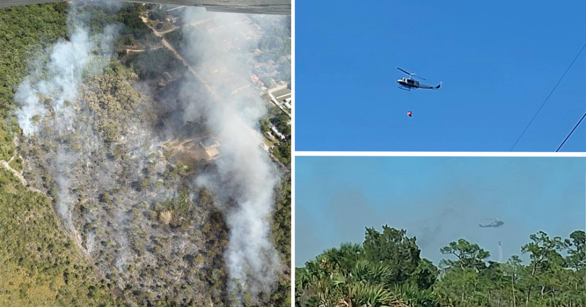 Wildfire Burns in Pasco County, Florida  Active Response