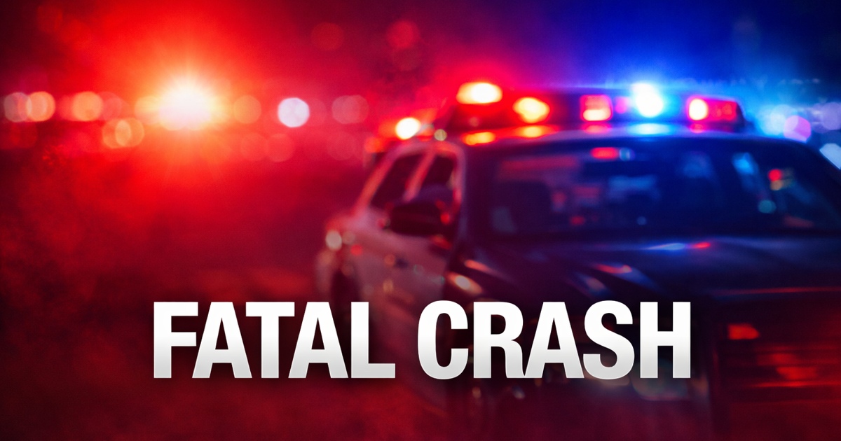 Fatal Crash on Blanton Road Claims Life in Pasco County, Florida