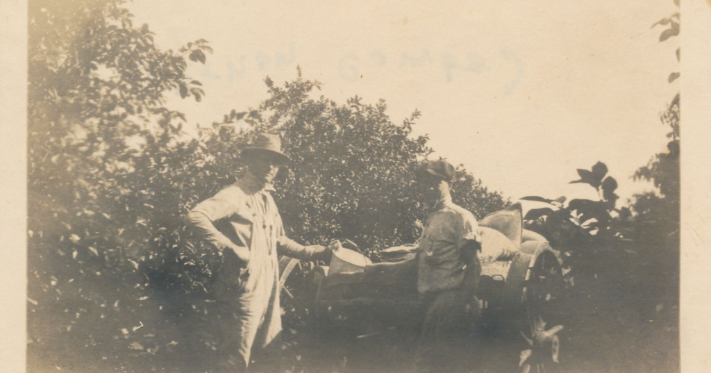 Local Political Expert Chronicles Land O Lakes Centennial History and Heritage