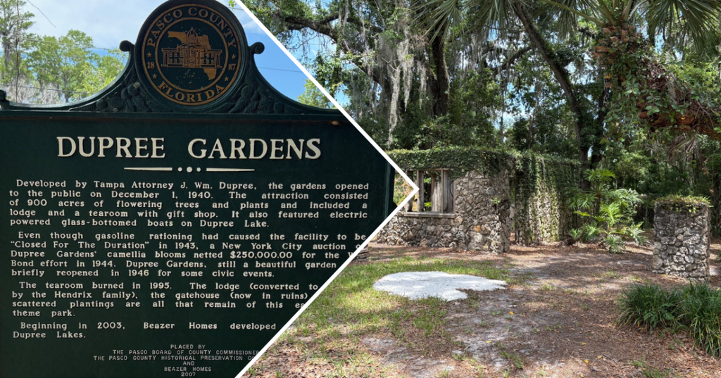Dupree Gardens Remnants Preserve Land O’ Lakes History