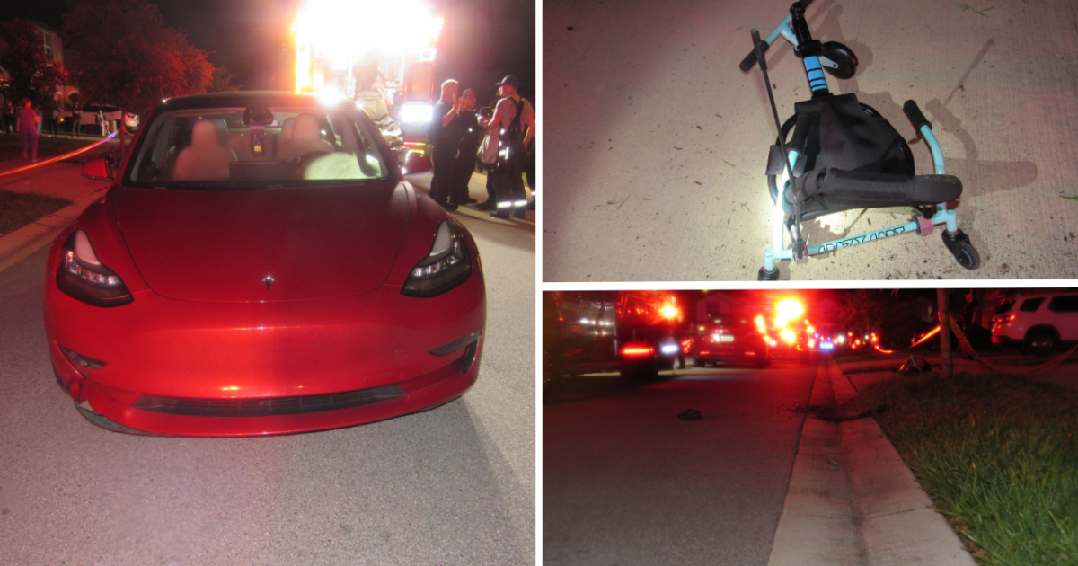 Seven-Year-Old Boy Dies After Collision With Tesla In Lutz Florida