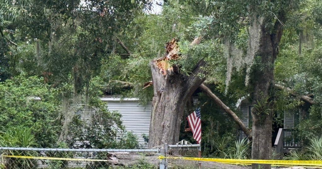 Fatal Tree Fall Incident Under Investigation In Zephyrhills Florida Home