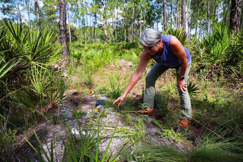 Heartwood Preserve Leads Florida’s Eco-Friendly Burial Movement in New Port Richey