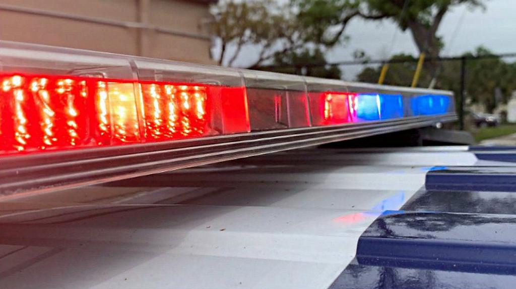 Tree Collapse Kills Person in Zephyrhills Home During Storm Investigation Underway
