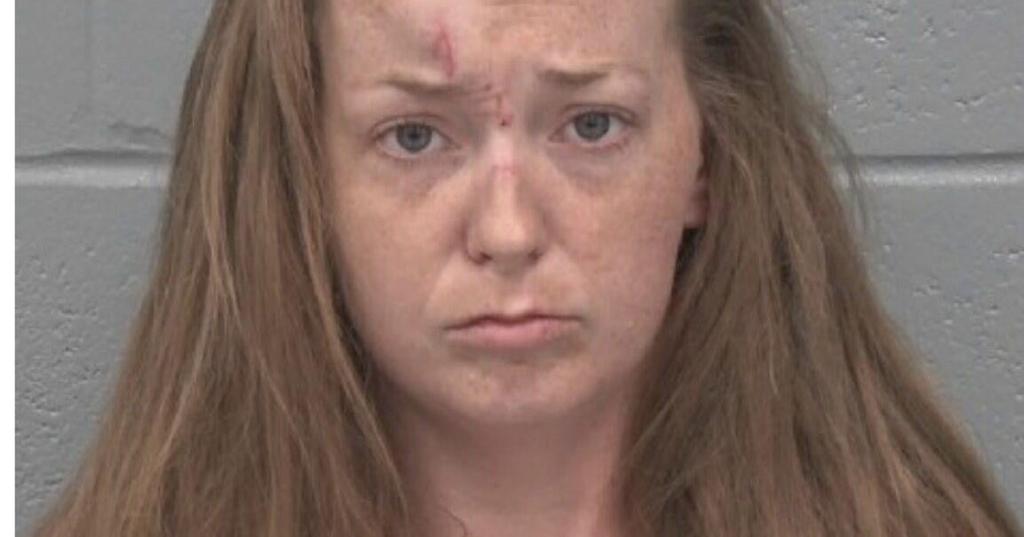 New Port Richey Woman Arrested After Single-Vehicle Crash On US 19