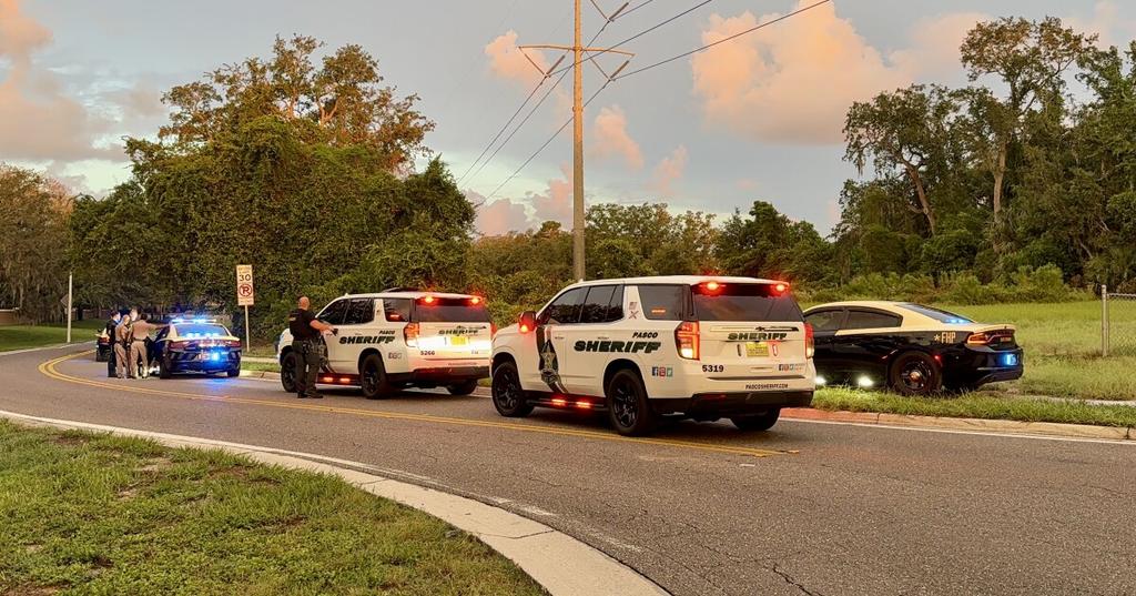 Teen Arrested After Fleeing Traffic Stop and Crashing in Pasco County