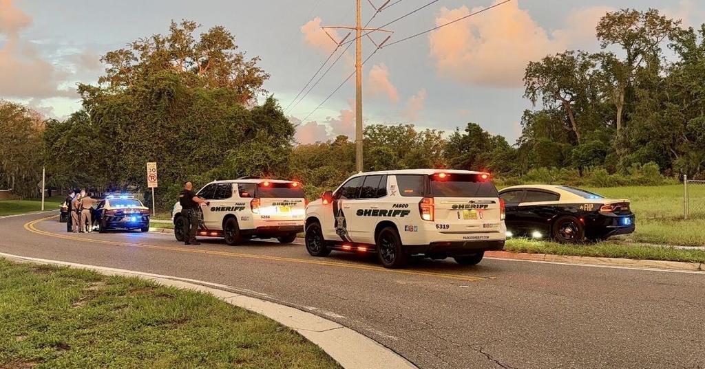 Teenager Arrested After Fleeing Traffic Stop and Crashing in Pasco County