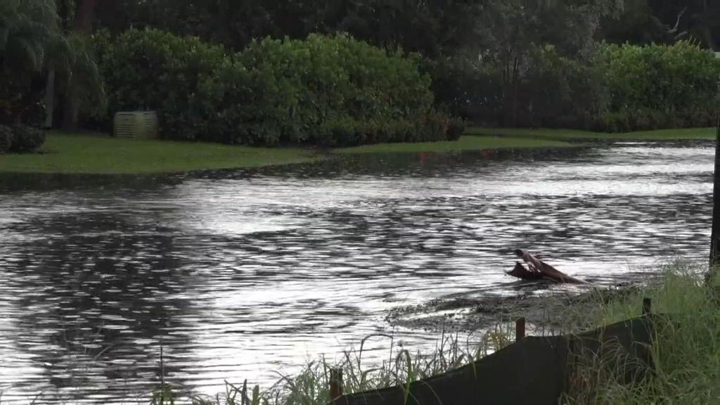 Tampa Bay Water Officials Seek Rain in Upper River Basins for Drought Relief