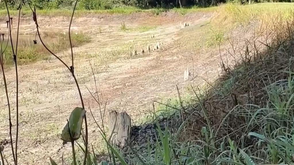 SW Florida Water District Considers Extending Phase III Shortage Order Amid Persistent Rain Deficit