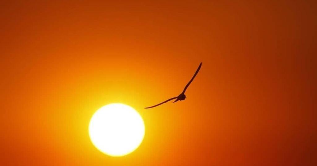 Florida Experiences Record-Breaking September Heat Amid Climate Change Trends